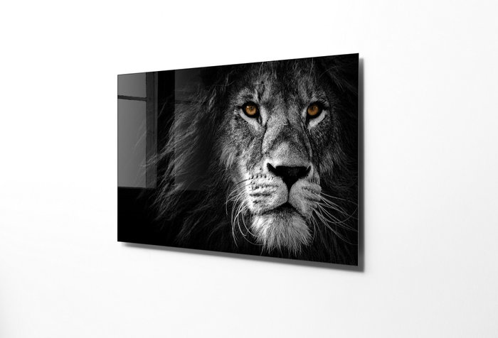 Wallity Cuadro decorativo de cristal templado Multicolor 50 x 70 cm Wallity Cuadro decorativo de cristal templado Multicolor 50 x 70 cm